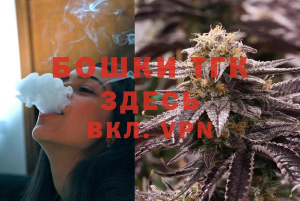 таблы Богородицк
