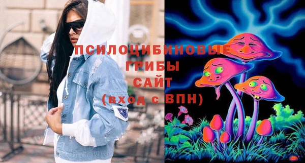 амф Бутурлиновка