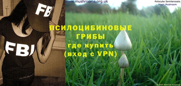 mdma Богданович