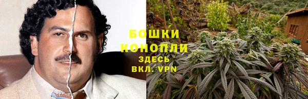 таблы Богородицк