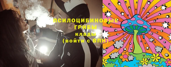 таблы Богородицк