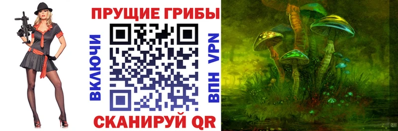 где можно купить   Волчанск  Псилоцибиновые грибы ЛСД 